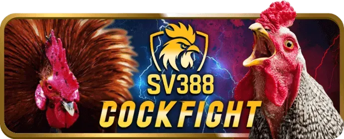 Lập kế hoạch ngân sách và phân bổ vốn cược rõ ràng tại 79Bet